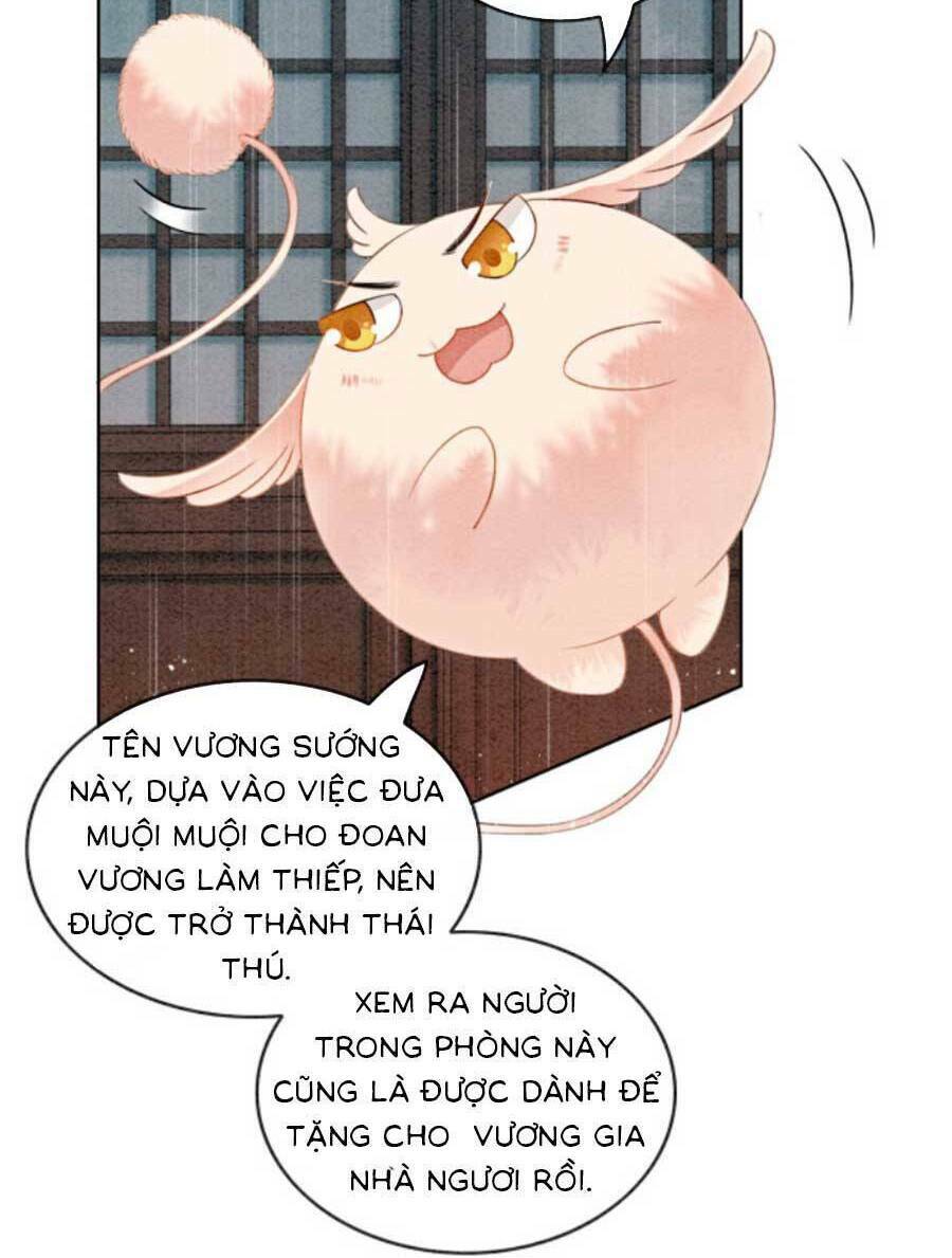 Bắt Đầu Hủy Hôn Để Công Lược Vương Gia: Chapter 52