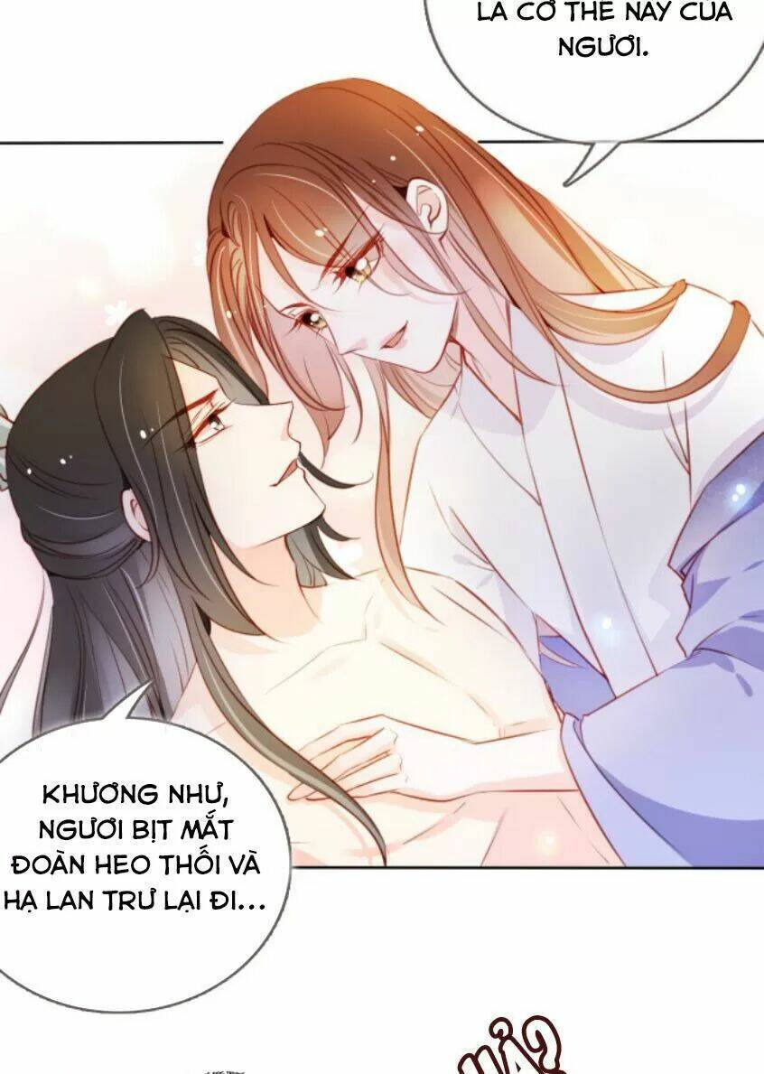 Nàng Trở Thành Bạch Nguyệt Quang Của Vương Gia Bệnh Kiều: Chapter 66