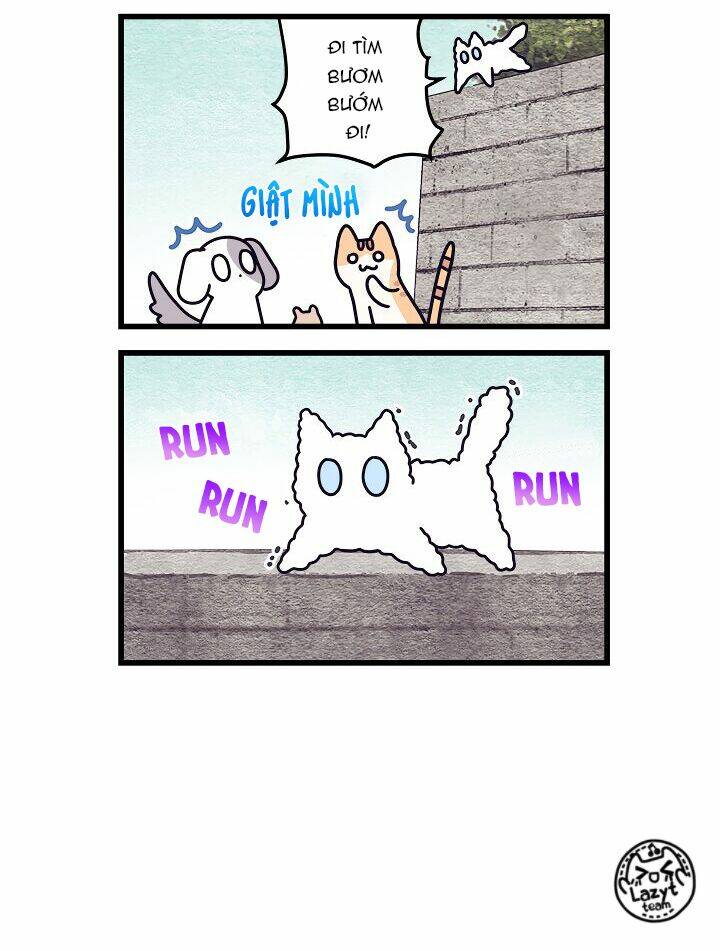 Khi Loài Mèo Làm Bá Chủ Thế Giới: Chapter 3