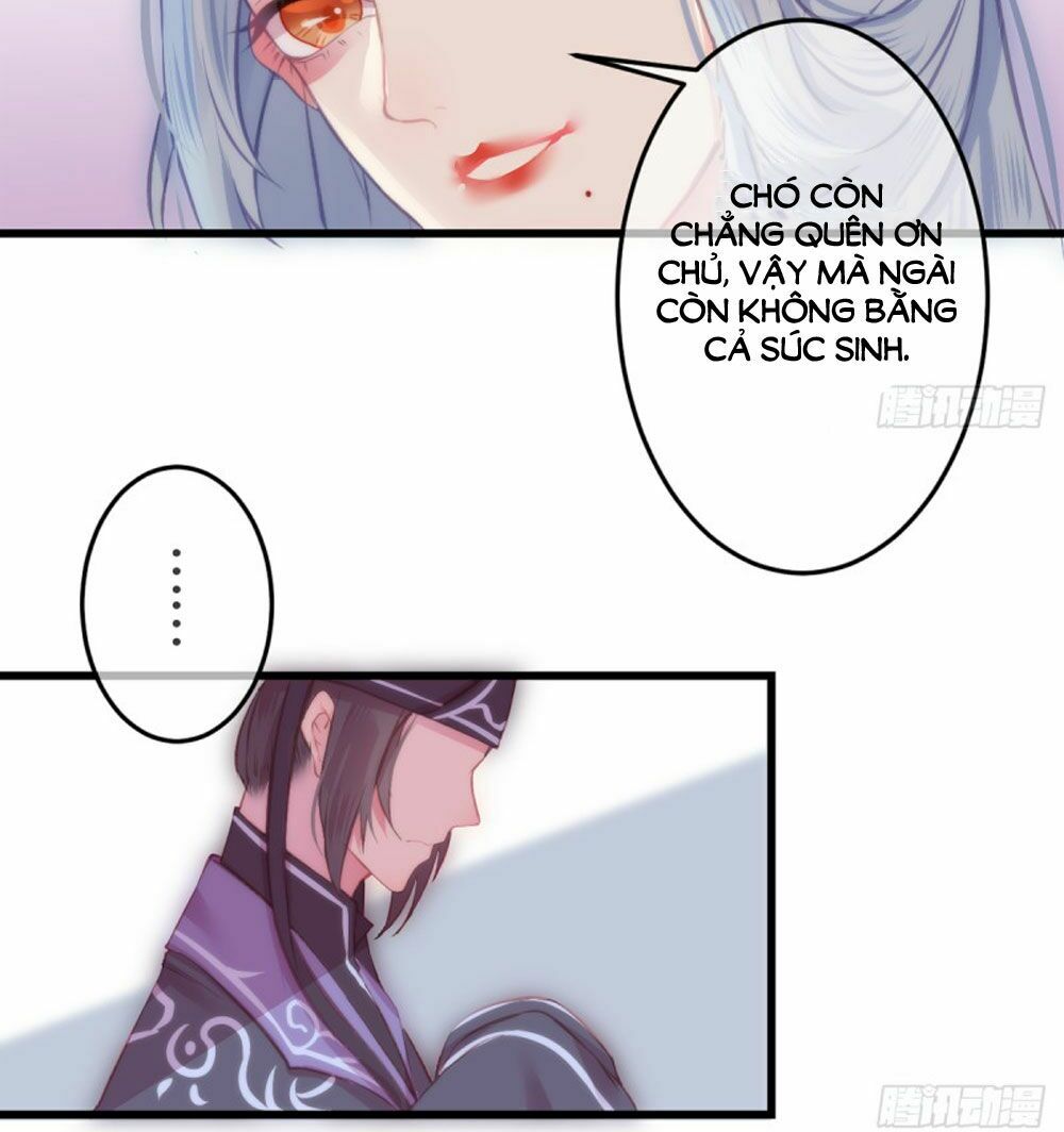 Trẫm Quyết Định Giải Tán Hậu Cung: Chapter 4