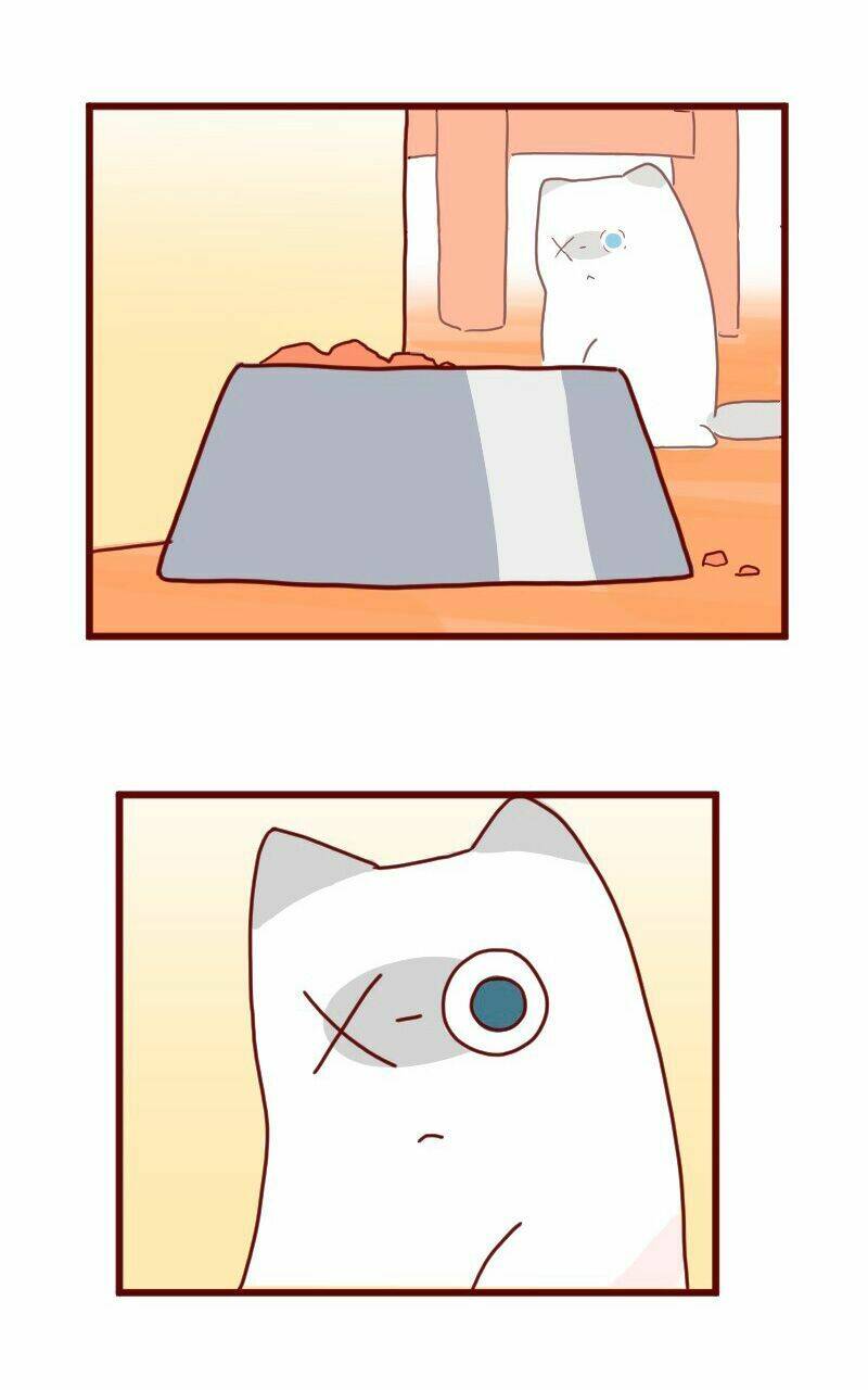 Saphie: Chú mèo một mắt: Chapter 8