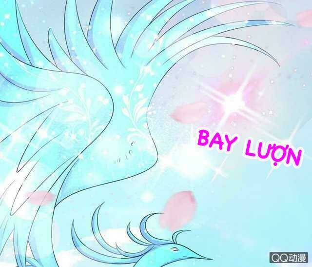 Băng Sơn Học Trưởng Không Được Chọc: Chapter 52.1