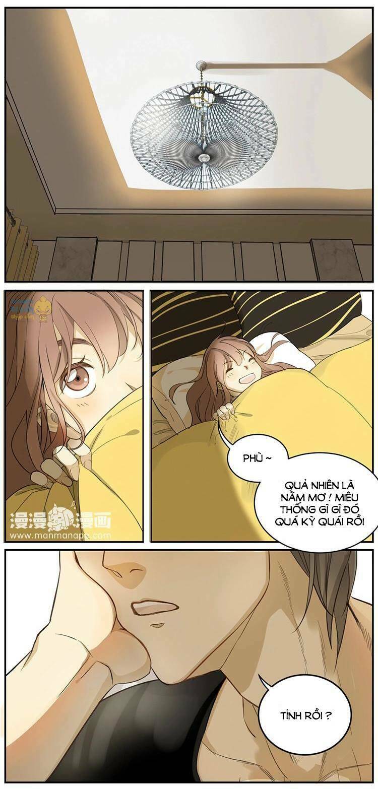 Cứu Mạng! Loài Mèo Thống Trị Thế Giới Rồi!: Chapter 3