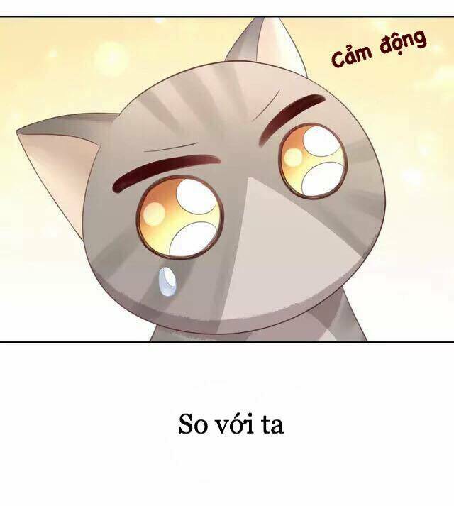 Dưới Móng Vuốt Mèo: Chapter 20