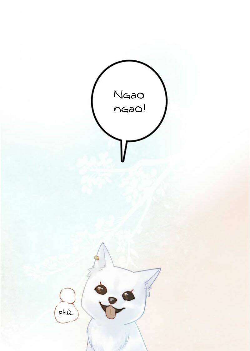 Cướp Chàng Vợ Về Đón Năm Mới: Chapter 4.1