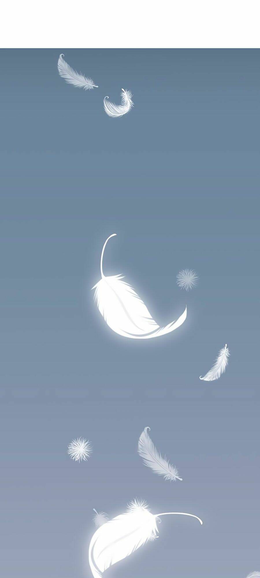 Quang Chi Vũ: Chapter 1