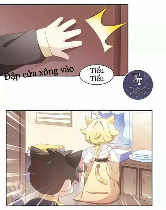 Dưới Móng Vuốt Mèo: Chapter 10