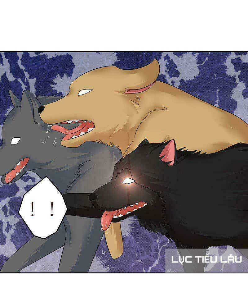 Băng Sơn Học Trưởng Không Được Chọc: Chapter 13