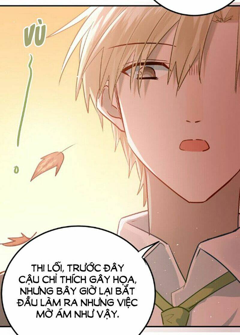 Đầu Gấu Biết Yêu: Chapter 101