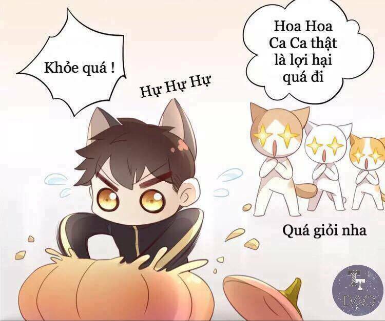 Dưới Móng Vuốt Mèo: Chapter 18