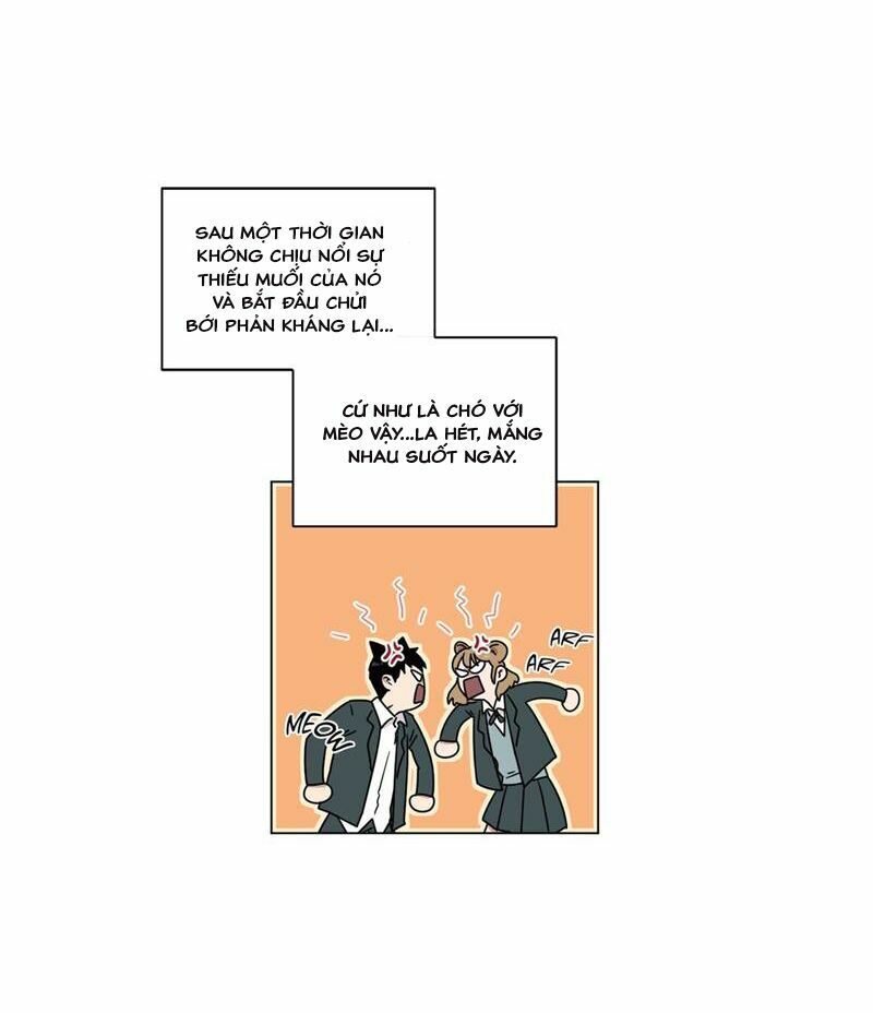 …”Một Sự Thật Khá Khó Chịu.”: Chapter 17