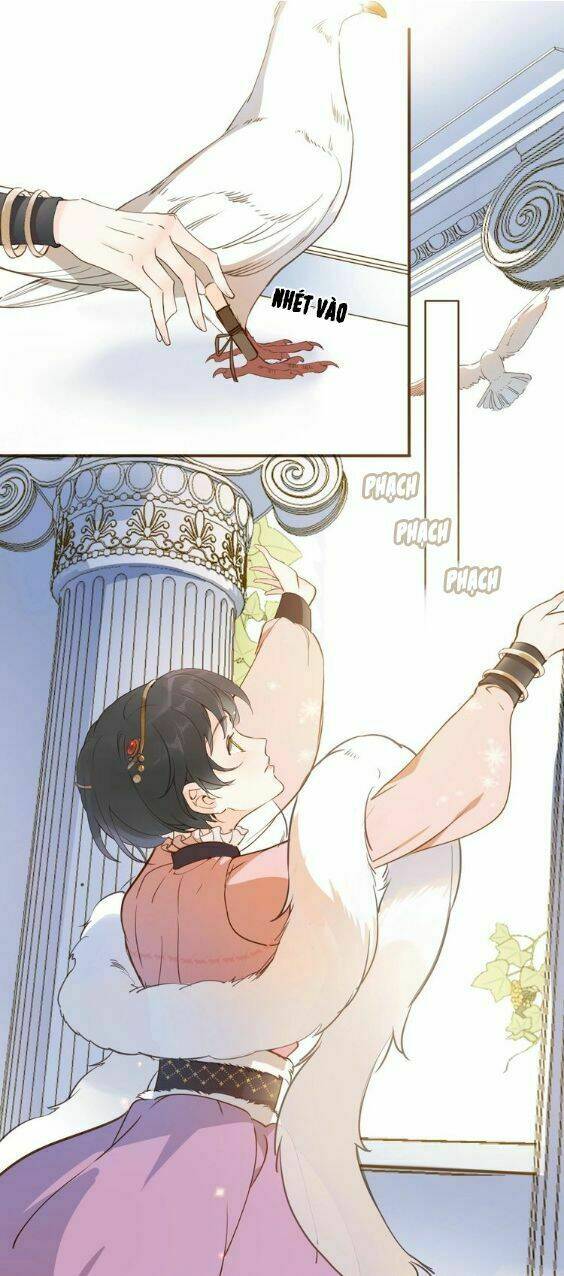 Hầu Nữ Giá Đáo: Chapter 5