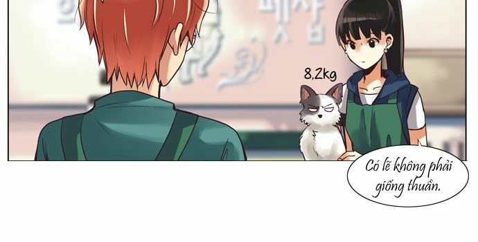 Dear, Only You Don\’t Know!: Chapter 22