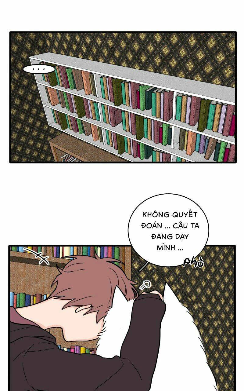 Not So Shoujo Love Story: Chapter 16