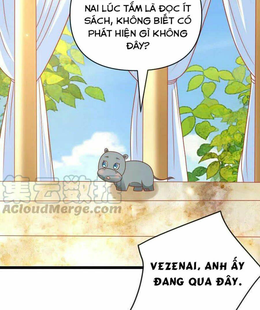 Sủng Hậu Của Vương: Chapter 123