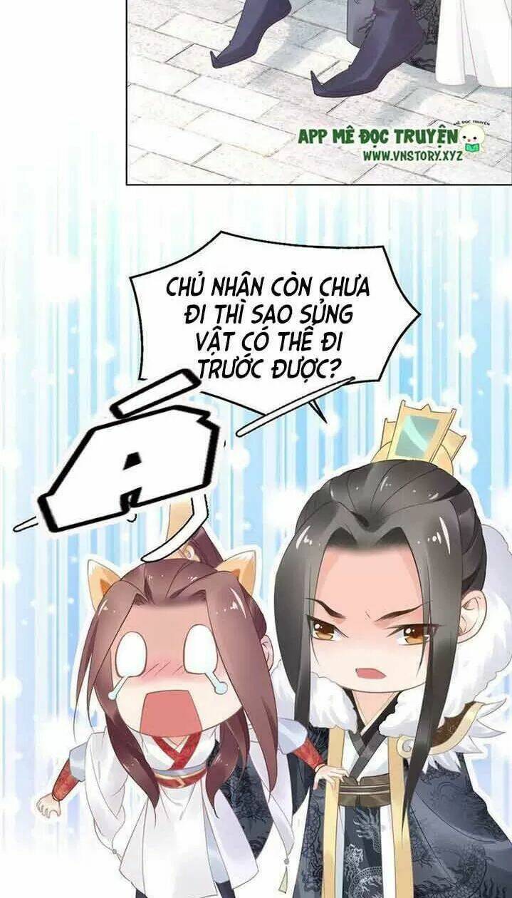 Nhất Sinh Nhất Thế Tiếu Thương Khung: Chapter 15