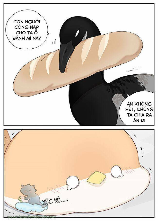 Chim Sẻ Gọi Ngỗng Trời: Chapter 2