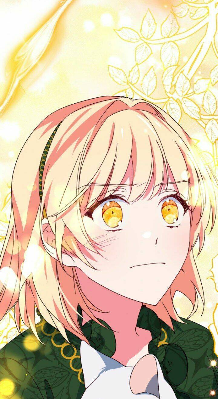 Nàng Elizabeth Thuần Khiết: Chapter 25