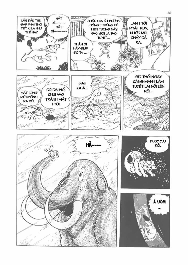 Vua Sư Tử: Chapter 8