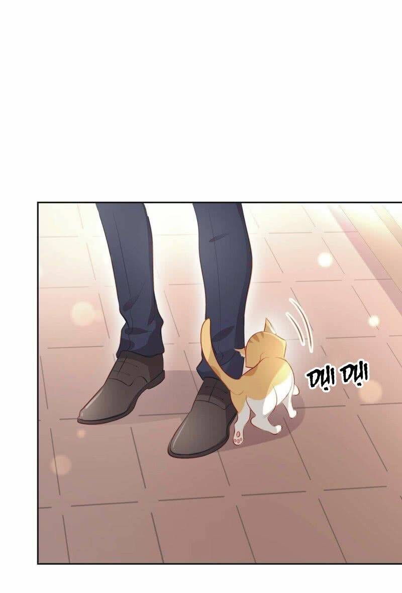 Khi Trá Luyến Nhân: Chapter 63