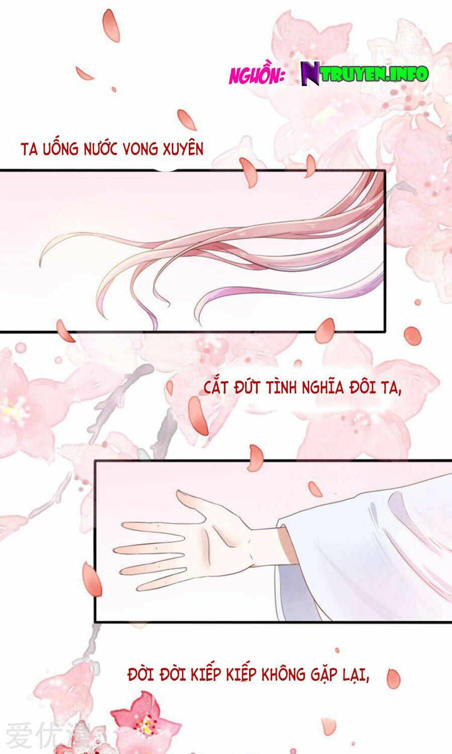 Tôi Bị Gấu Trúc Nhìn Trúng Rồi: Chapter 1