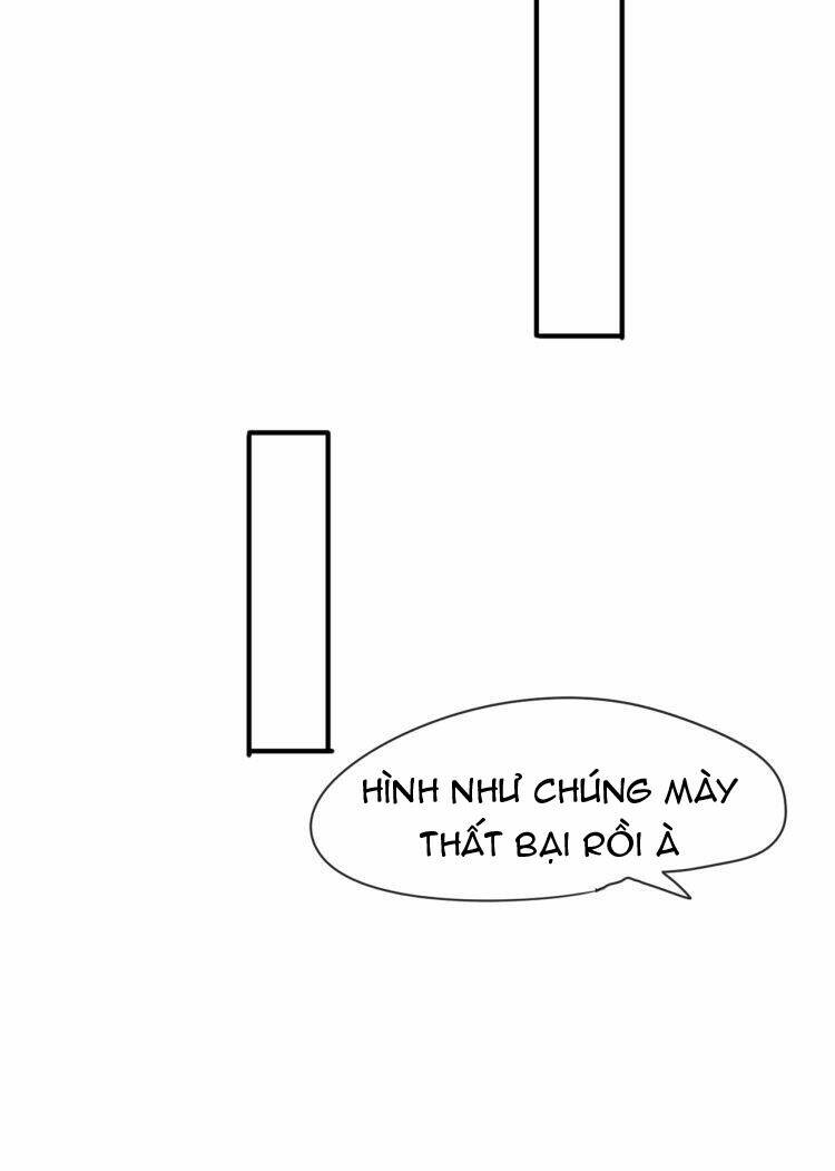 Tiểu Miêu Và Hắc Diệu Thạch: Chapter 8