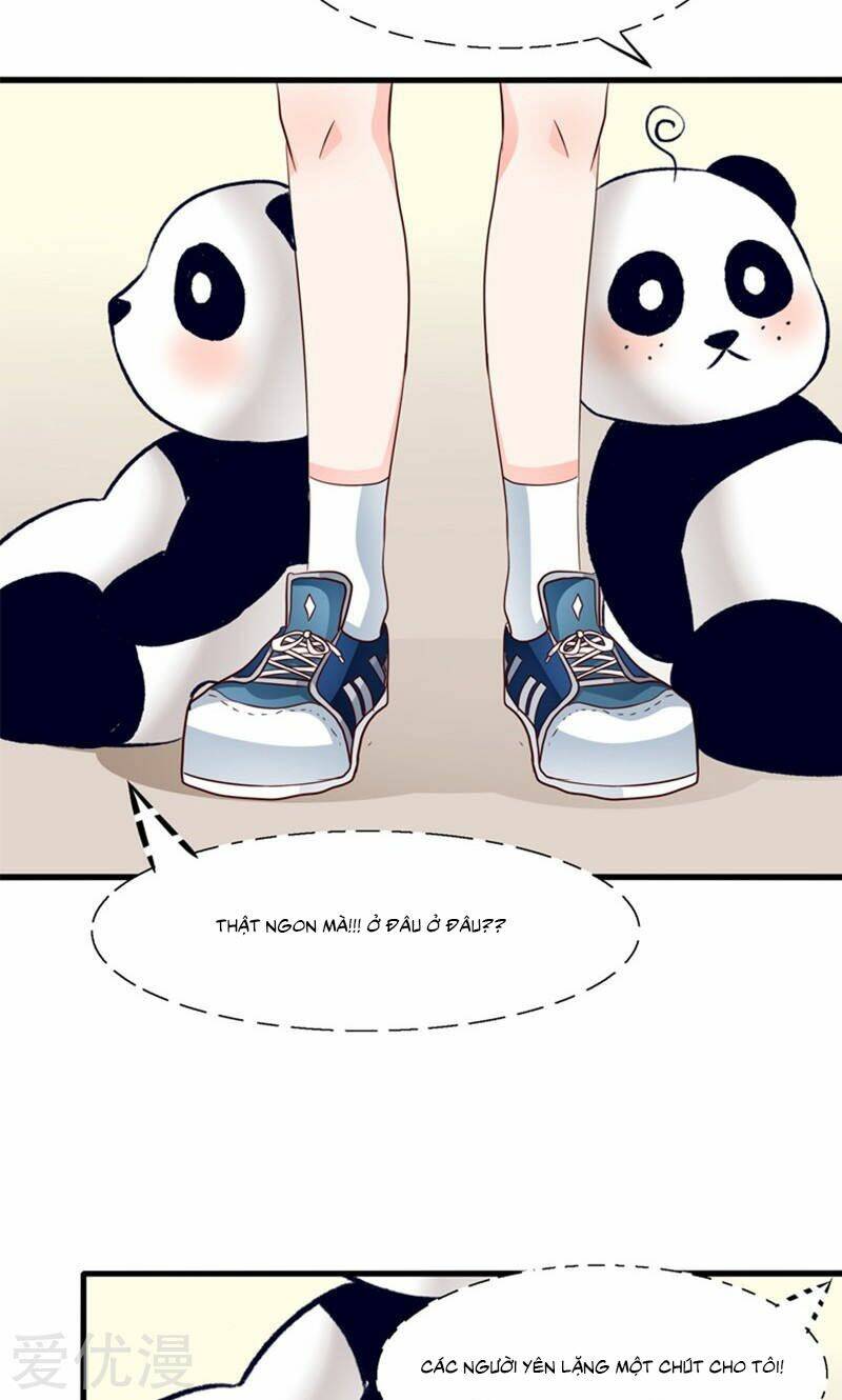 Tôi Bị Gấu Trúc Nhìn Trúng Rồi: Chapter 14