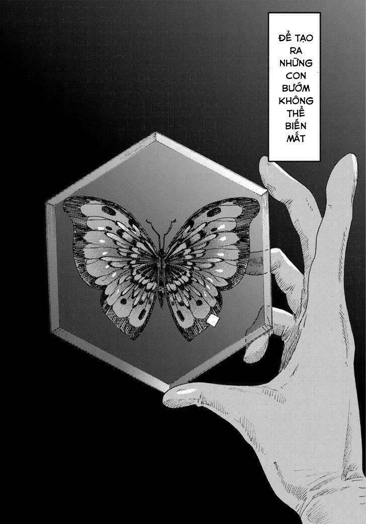 Butterfly Storage: Chapter 3