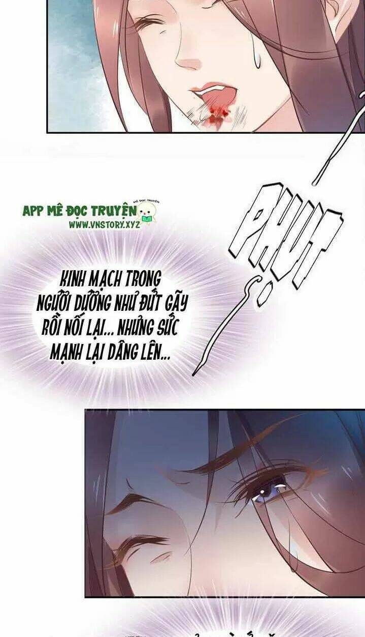 Nhất Sinh Nhất Thế Tiếu Thương Khung: Chapter 26