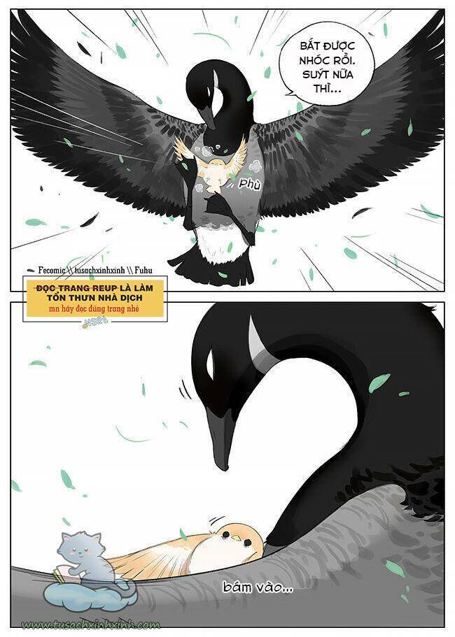 Chim Sẻ Gọi Ngỗng Trời: Chapter 7