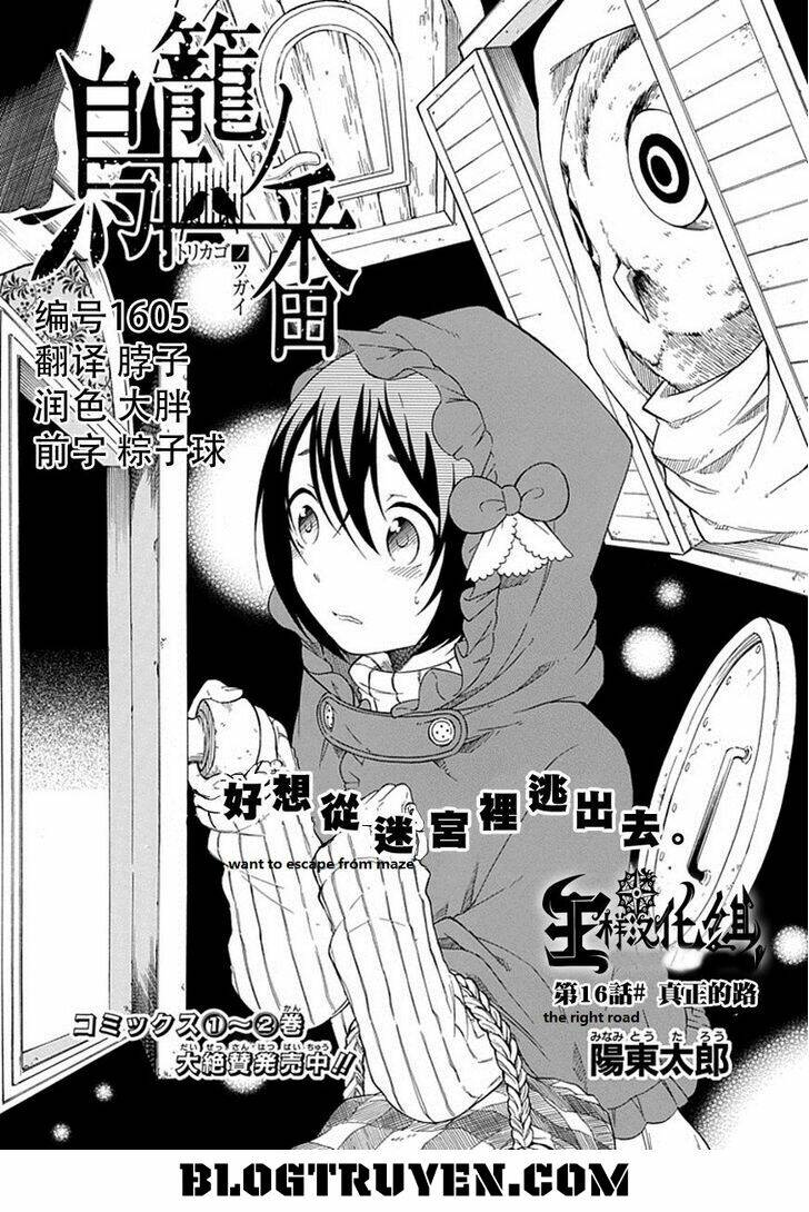 Torikago No Tsugai: Chapter 16