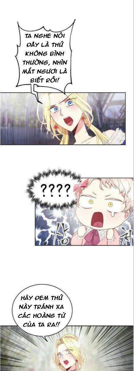 Baby Dragon: Chapter 5