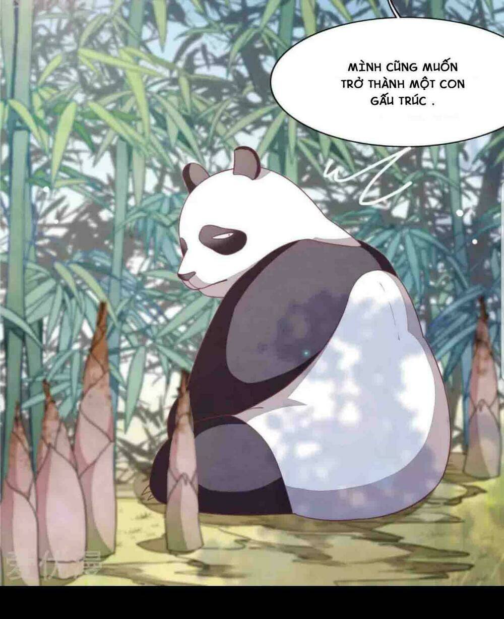 Xuyên Về Cổ Đại Làm Quốc Bảo: Chapter 3