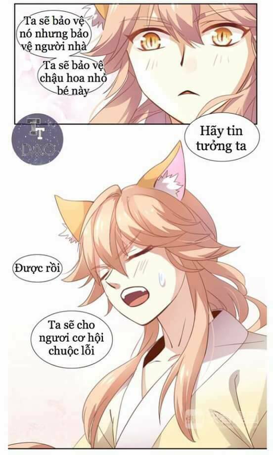 Dưới Móng Vuốt Mèo: Chapter 2