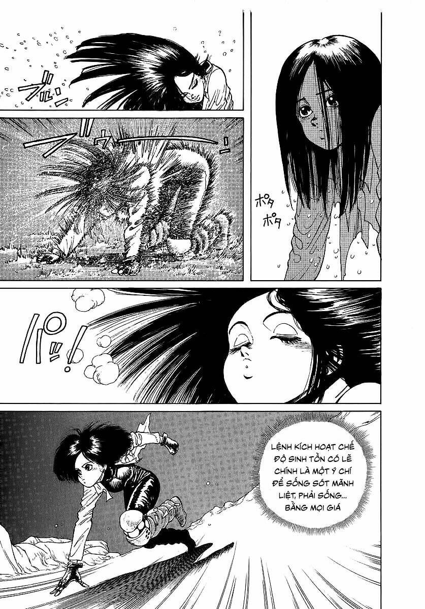 Alita - Thiên Thần Chiến Binh: Chapter 5