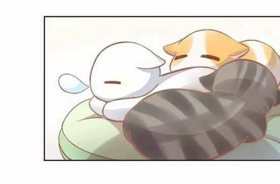 Dưới Móng Vuốt Mèo: Chapter 7