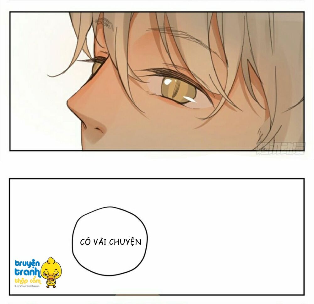 Cứu mạng ! Loài mèo thống trị thế giới rồi !: Chapter 32