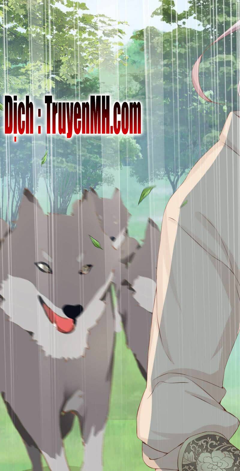 Solo Đi Vương Gia: Chapter 137