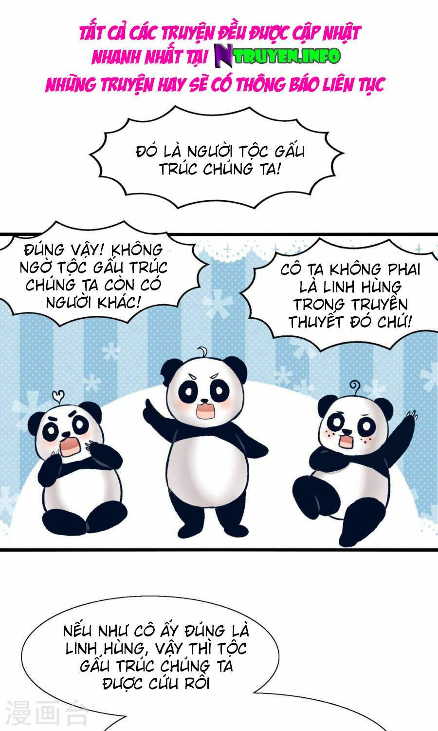 Tôi Bị Gấu Trúc Nhìn Trúng Rồi: Chapter 10