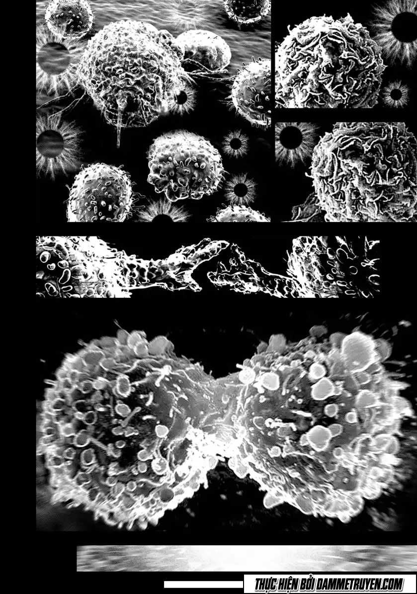 Thiên - Nhân Thống Nhất: Chapter 63