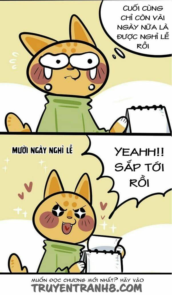 Đời Không Như Mình Tưởng: Chapter 4
