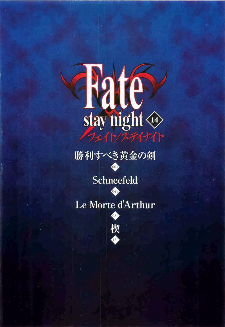 Fate Stay Night: Chapter 60