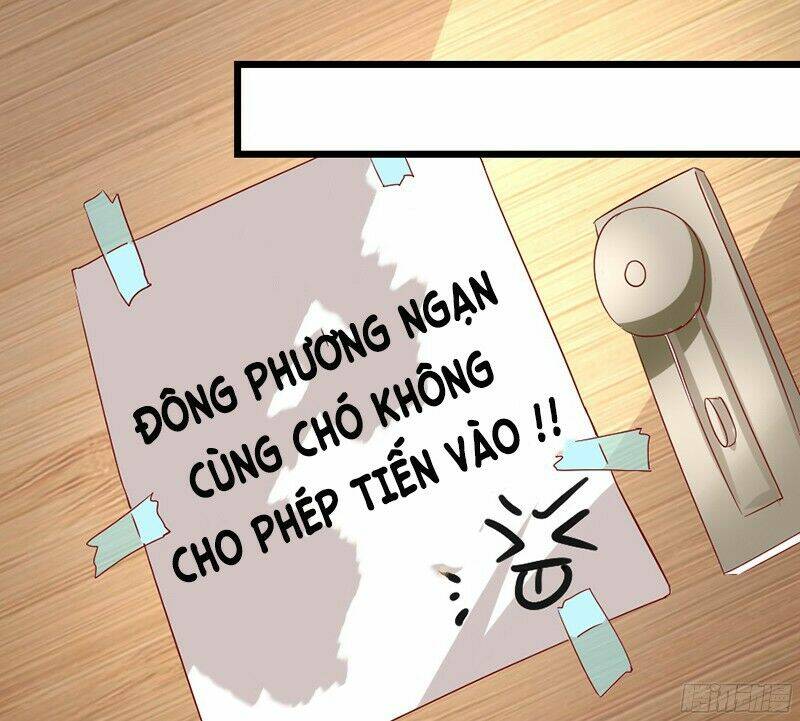 Mặt Nạ Mê Hoặc: Chapter 7