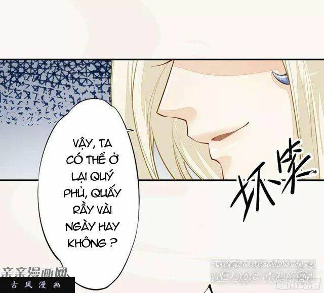 Tuyệt Thế Luyện Đan Sư: Chapter 27