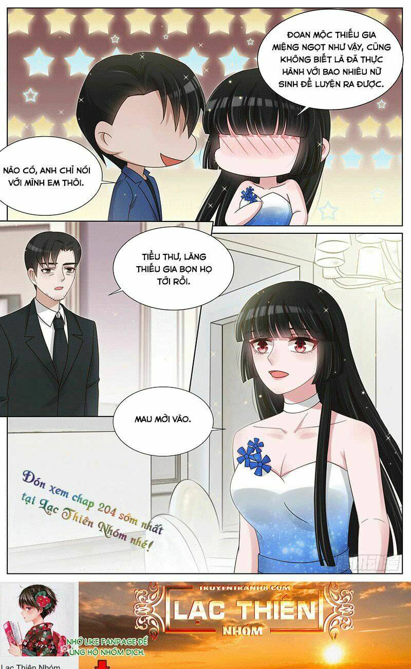 Vương Bài Giáo Thảo: Chapter 203