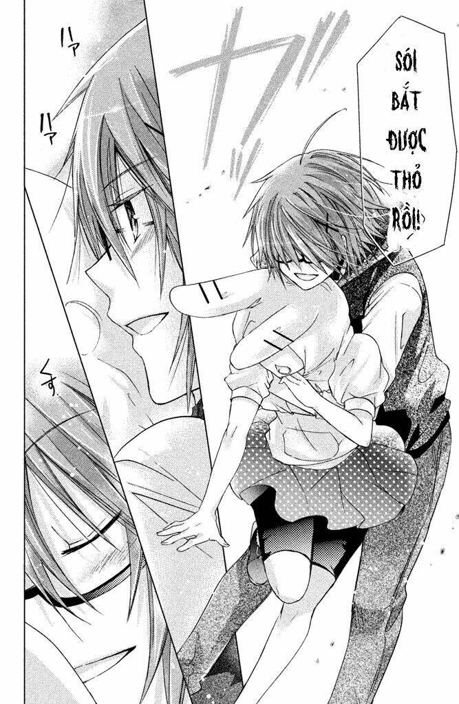 Watashi Ni Xx Shinasai!: Chapter 47
