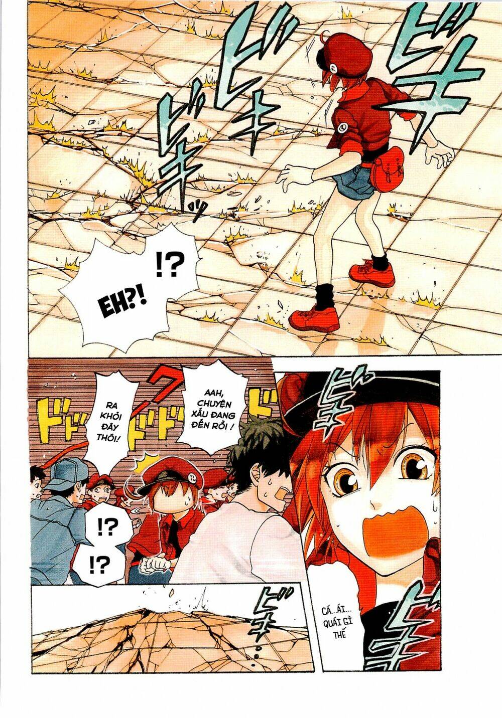 Hataraku Saibou!: Chapter 1