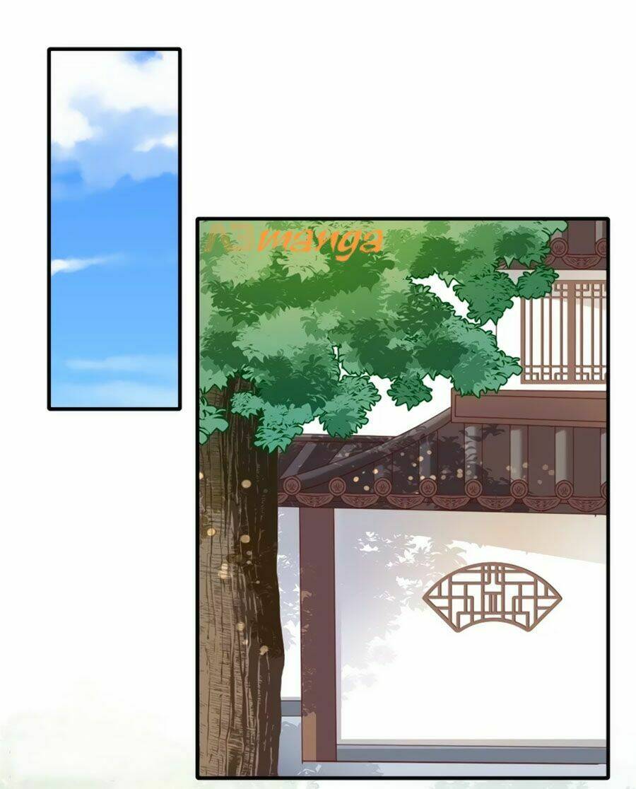 Khuynh Thế Y Phi Muốn Bỏ Chồng: Chapter 103