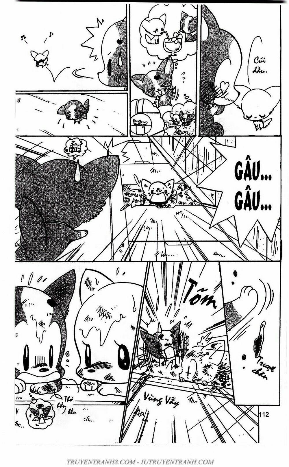 Bộ Sưu Tập Lọ Lem: Chapter 51