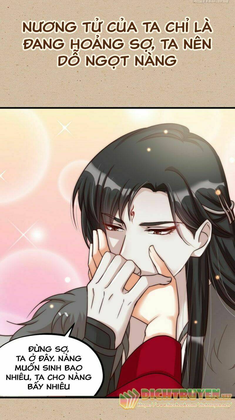 Phu Phu Khuynh Thành: Chapter 0